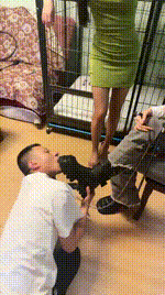 【伊晨】双S-带闺蜜入圈-鞭打_关狗笼骑马转胯_棉袜气味辱_吃狗粮bf46625封面图