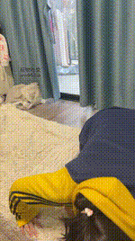 【小凤梨】闻舔臭鞋_自己抽耳光JS241213-43封面图