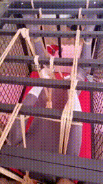 【妃妃】五花大绑囚禁狗奴才【下】JS241222-12封面图