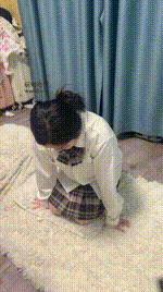 【小凤梨】闺蜜犬被抽的很开心bf48140封面图