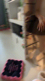 【橘子没熟】母畜-狂吸雪地靴_跪舔白丝bf48509封面图