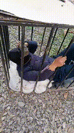 【龙刖】别墅户外彻底犬化专场【双视角版】JS241230-49_2