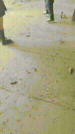 【沐颜】双S-户外荒地虐打惩罚跟踪狂【四视角版】JS241224-10_1封面图