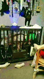 【滢滢】双S-囚禁狗笼_舔臭脚_鞭打踩踏_转胯狗爬【双视角版】JS241231-29_1封面图