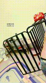 【南月女神】重刑-藤条重度鞭打JS250122-12