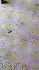 【沐颜】双S-户外荒地虐打惩罚跟踪狂【四视角版】JS241224-10_2封面图