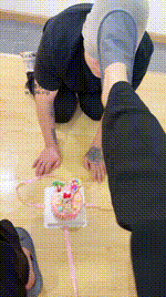 【紫琳】踩踏蛋糕喂食-给狗过不一样的生日JS241126-12封面图