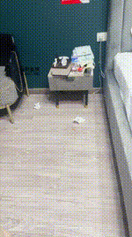 【小凤梨】捆绑滴蜡藤条抽bf50685封面图