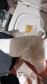 【玉主子】用脚丫玩虐废物家奴【下】JS250227-22封面图