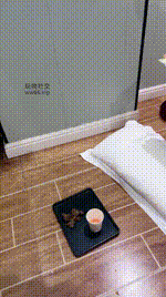 【沐沐大大】磕头求姐妹花虐我【双视角版】JS250216-13_2封面图