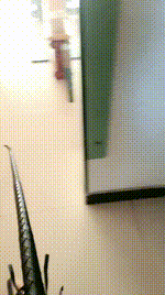 【安心】五花大绑强制虐打JS250205-28封面图