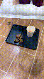 【沐沐大大】磕头求姐妹花虐我【双视角版】JS250216-13_1封面图