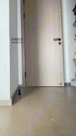 【伊佃公主】萝莉百丝鞋踩狗乳夹250220-31封面图