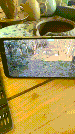 【沅芷大人】后院绑树上狠鞭打_抽的惨叫连连bf50646封面图