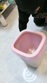 【芮汐夫妻】舔脏鞋底_吃烟灰_头压马桶吃泡面JS250221-2封面图