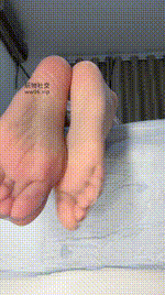 【酒鸽】挑战第六天灯寸250318-5封面图