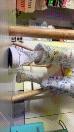 【萧萧大人】白色匡威帆布鞋250420-21封面图