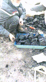 【银南女帝】户外监工家奴JS250402-2封面图