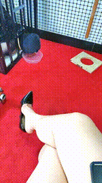 【沐颜】狗笼囚禁彻底犬化JS250424-7封面图