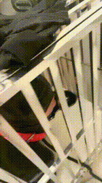 【梦溪】囚禁狗笼人形犬JS250418-16封面图