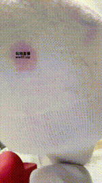 【米奇妙妙屋】你的白袜祖宗250504-12封面图