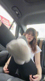 【小猫是S】车内炸250620-29封面图