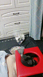 【白狐】强制呼吸控制-气味羞辱【双视角版】JS250619-10_1封面图