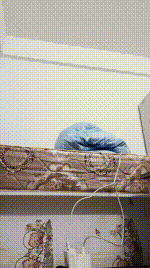 【初心】模拟足J250909-4封面图