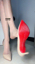 【酒鸽】早些训练250331-7封面图