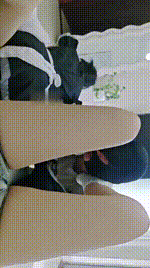 【阳阳】双S-情侣奴-奴下奴虐【双视角版】bf51933_2封面图