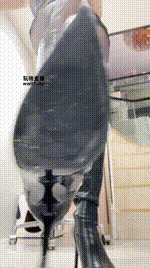 【晨颜】女巨人视角250501-5封面图