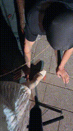 【苏苏不苏】户外-骑马狗爬犬化bf52451封面图