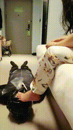 【五公主】吃脚死皮_裸足深喉【完整版】JS250513-30_2封面图