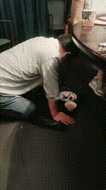 【鸿运】餐厅包厢公开处刑【三视角版】JS250503-23_1封面图