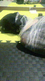 【安心】保鲜膜捆绑木乃伊虐JS250506-29封面图