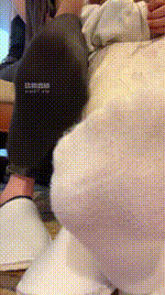 【琼爷】滚来看你祖宗的白袜250603-10封面图