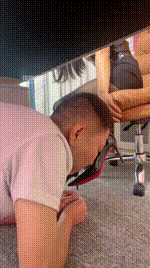 【伊晨】姐妹花秘书玩弄老板bf54846封面图