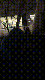 【灵芷】双S-户外把老板当狗训【双视角版】bf54843_1