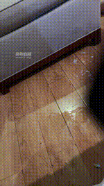 【彩虹】骑马-黑丝高跟重度虐杀【下】JS250620-10封面图