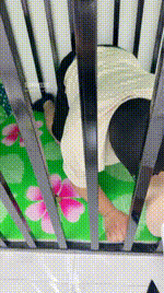 【小奕】囚禁狗笼脚喂食【双视角版】JS250624-22_1封面图