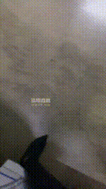 【不知名】开发滴滴司机做我的狗bf55917封面图