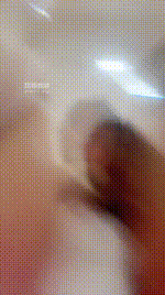 【尤雾】香水30秒吃口水250609-32