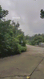 【忆人离】边爬山运动边虐狗bf56111