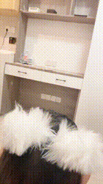 【南烟】强迫闺蜜下跪伺候【上】JS250627-9封面图