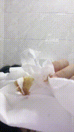 【灵韵】滚进来吃主人黄金250824-14封面图