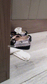 【兮皇】双S-姐妹花-强迫贱奴舔脏鞋臭脚【双视角版】bf56541_1封面图