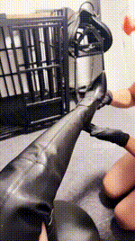 【Sera】猪奴-中秋鞋油大餐JS251007-11封面图