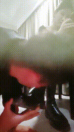 【孤傲祖宗】胶带封嘴-长靴踩踏-强迫舔泥巴脏鞋bf58051封面图