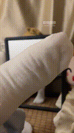 【婉婉】狗儿子滚进来251013-28