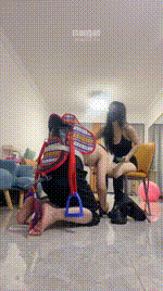 【南月女神】骑马犬化场bf58443封面图